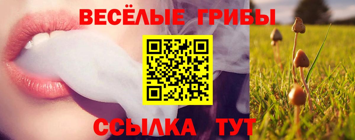 Псилоцибиновые грибы мицелий Лыткарино